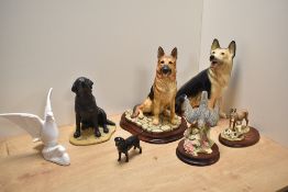 A Border Fine Arts German Shepherd study, number MT06 on moulded mahogany plinth, 29cm, sold along