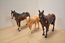 A group of three Beswick Pottery horse studies, comprising Palomino H259 designed by Shane Ridge