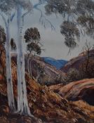 After Henk Guth (1921-2003, Dutch), coloured print, 'Ghost Gums', framed and under glass,