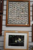 A framed collection of locomotive cigarette cards with a signed photographic print of birds.