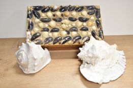 Two natural conch sea shells and a vintage wooden box encrusted with shells.