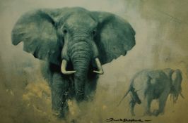After David Shepherd (1931-2017, British), coloured prints, Five illustrations of African wildlife