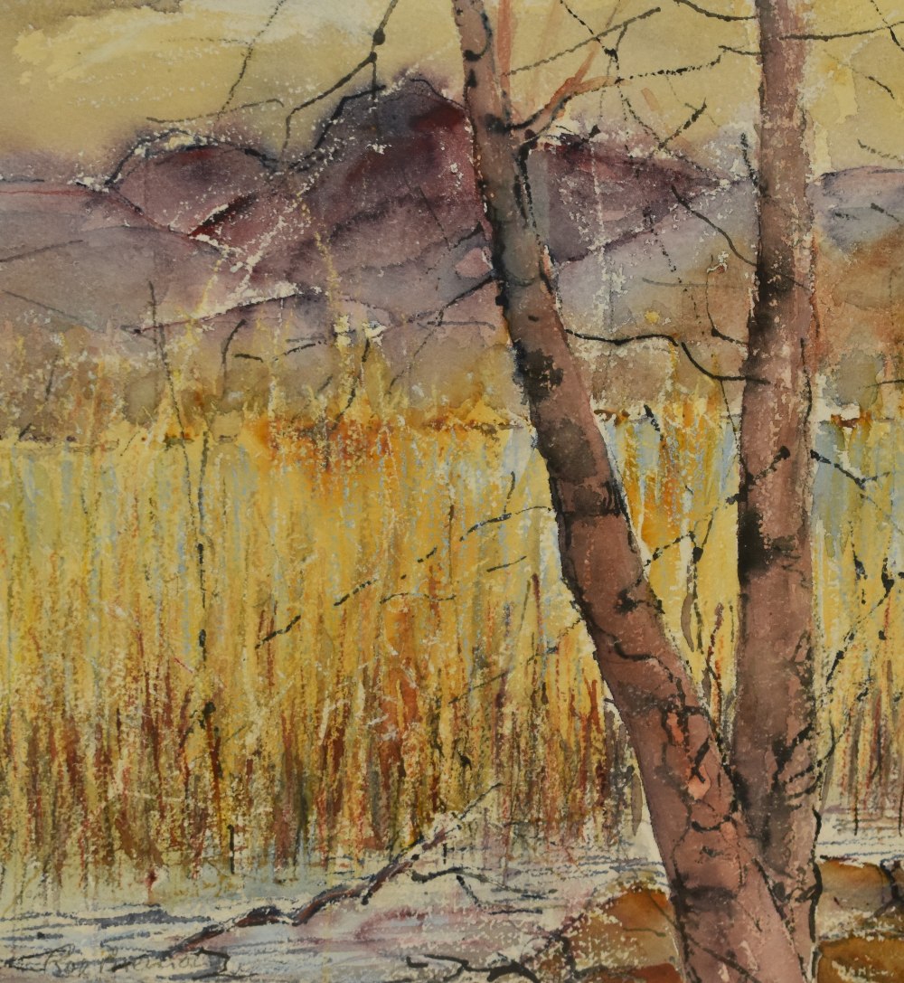 *Local Interest - Rose Brennand (Contemporary, British), watercolours, Two semi-abstract woodland