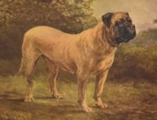 An assorted collection of reproduction prints, including dog illustrations from Cassell's 'New