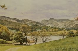 *Local Interest - After Michael Revers (b.1947, American), coloured prints, Two illustrations - '