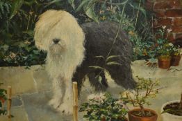 A.Butterworth (20th Century, British), oil on board, An Old English Sheep Dog, signed and dated '