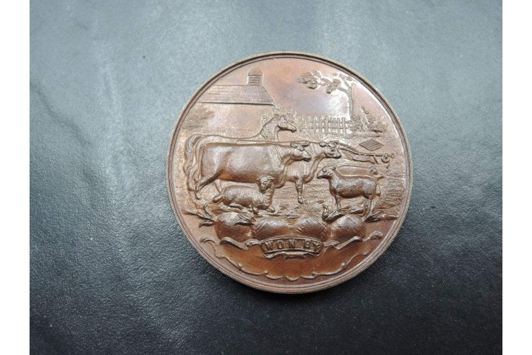A Victorian Westmorland & Kendal District Agricultural Society Centenary Show medal, depicting - Image 4 of 5