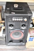 A pair of Digital Audio DP234 speakers (one powered one slave)