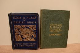 Natural History. Adams, H. G. - Nests and Eggs of Familiar British Birds, &c. Second Series. London: