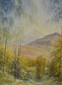 Clare Fernie (20th Century, British), watercolours, 'The Falls, Kinloch Rannoch' and 'Shades of
