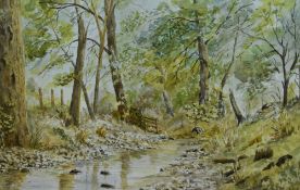 Jeff Loftus (20th Century), watercolour, 'Woodland Stream', signed to the lower right, framed,