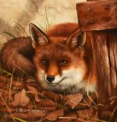 Carl Andrew Whitfield (b.1958, British), oil on board, Fox in leaves, signed to the lower left,
