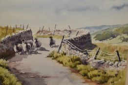Shirley Schofield (20th Century, British), watercolour, A scene in the Yorkshire Dales, signed to