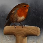 Carl Andrew Whitfield (b.1958, British), oil on board, Robin in winter setting, signed to the