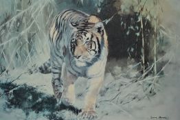 After Leonard Pearman (1912-2003, British), coloured print, 'Bengal Tiger', framed, measuring 50cm x
