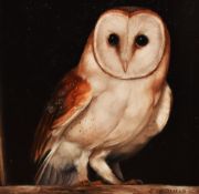Carl Andrew Whitfield (b.1958, British), oil on board, Barn Owl, signed to the lower right,