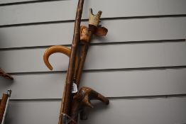 A selection of 5 walking sticks in various forms
