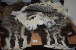 Four rabbit skins and two badger pelts