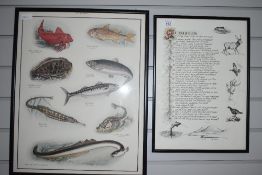 Two prints one a poem of a shooting, fishing trip to the Isle of Sky and a print of sea fish