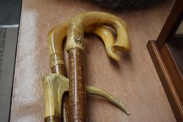 Two shepherds crooks and another walking stick with horn handles (crooks 124cm ) stick 97cm