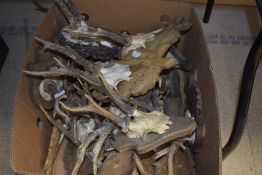A Box cotaining approx twenty sets of roe deer antlers mostly mounted on wooden plinths