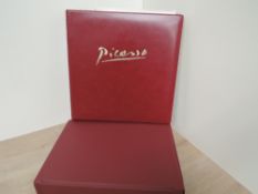 THEMATICS; PICASSO, ART, MNH COLLECTION INCLUDING MINI SHEETS IN 2 VOLUMES Couple of Borek albums