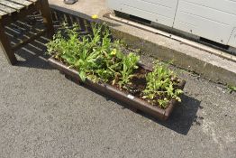A cast iron trough planter