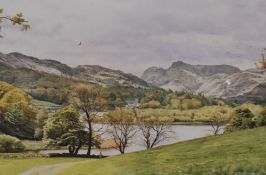 *Local Interest - After Michael Revers (b.1947, American), coloured prints, Two illustrations - '