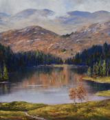 After Jeff Sudders (Contemporary, British), coloured print, 'Tarn Hows', Lake District, signed to