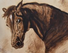 Edith and Emma Tilsley (19th Century), watercolour, Two striking head portraits of horses, of