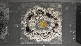 Barry Cooper (20th Century), glass art, An abstract glass design mounted on board, signed, measuring