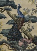 20th Century School, a needlework embroidery depicting a peacock resting on a tree branch, framed