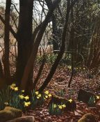 Meg Lee (20th Century, British), gouache, 'Wild Daffodils - Far Arnside Woods', signed and dated