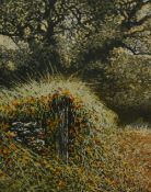 David Beattie (b.1955, British), aquatints, Five illustrations - 'Dusk Oak', 'Summer Beck', 'Dawn