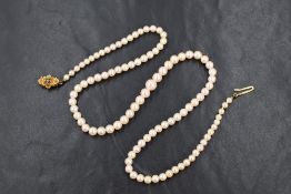 A string of graduated cultured pearls having decorative 9ct gold clasp, approx 18'