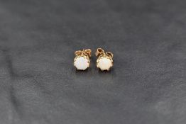 A pair of 9ct gold opal stud earrings, the opals in an eight claw setting with yellow metal