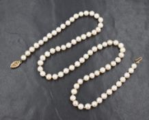 A string of cultured pearls of even form having yellow metal clasp stamped 10K, approx 18'