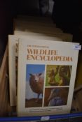 Nineteen volumes of The International Wildlife Encyclopedia published by B.P.C Publishing Limited