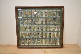 A framed collection of 50 Will's cigarette cards illustrating 'Flowering Trees & Shrubs', framed,