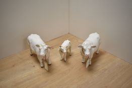A Border Fine Arts Pottery Company Charolais Cow family, comprising Bull A4598 Cow A4599 and Calf