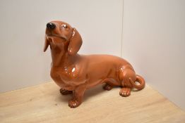 A large Beswick Pottery fireside model of a Dachshund in brown gloss, No2286.