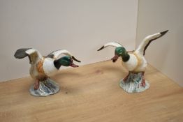 Two Beswick Pottery Shelldrakes, Rising No994 and Settling No995, one having restoration to neck.