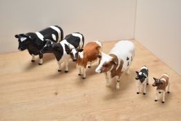 Two Beswick pottery cattle families comprising Friesian bull cow and calf and Ayrshire bull cow