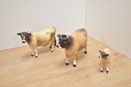A Beswick Pottery Jersey cattle family comprising Bull Champion Dunsley Cow Boy number 1422 Cow