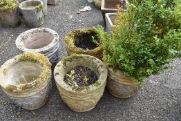 Five concrete garden planters, one including established bush (probably common box)