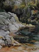 *Local Interest - After Judy Boyes (20th Century, British), coloured prints, Two Lake District