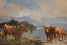 T.Hayes (19th Century, British), oil, Highland Cattle watering within a remote Scottish setting, a