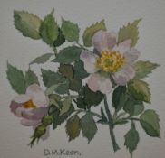 D.M. Keen (20th Century), watercolours, Two botanical illustrations of primroses and wild roses,