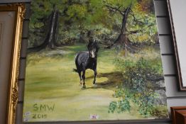An oil painting on canvas of a horse by Sue Waring 60cm x 60cm