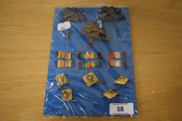 A display of regimental badges to include the King's Own Royal Regiment lion badge for Lancaster and